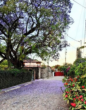 A cobblestone street with a large tree and purple flowers. There is a stone wall and a red gate in the background.