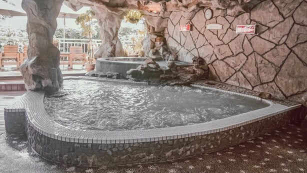 A hot spring area with a stone wall, a large tree, and a small waterfall. - King's Garden Villa (Tainan)