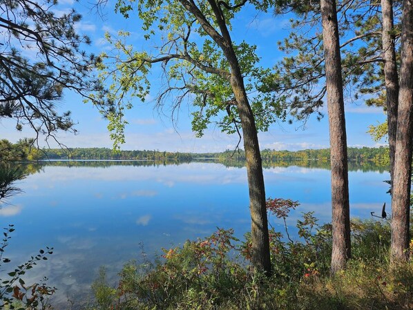 A calm lake surrounded by trees and vegetation.