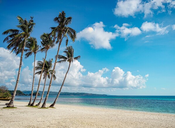 Plage à proximité
