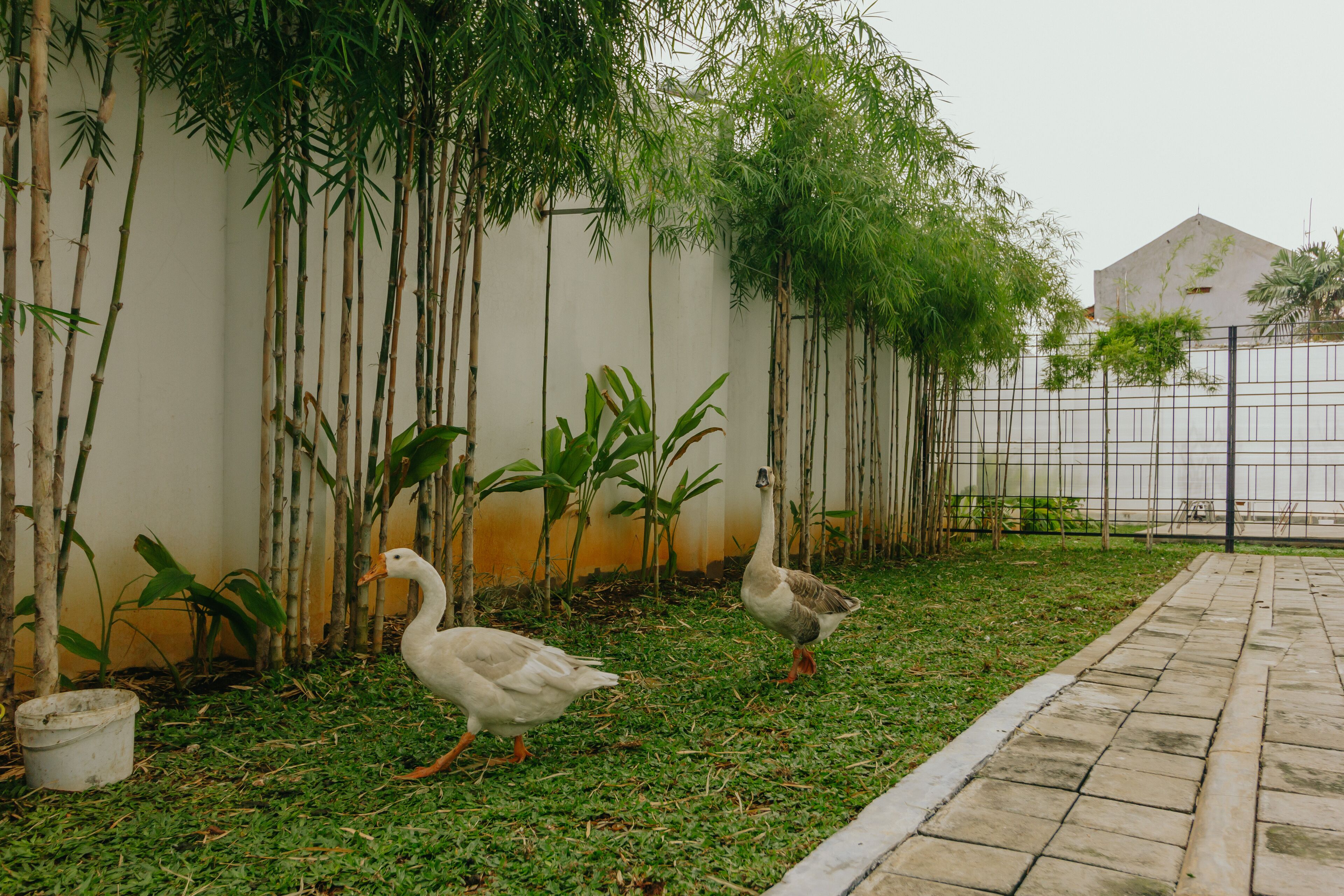 Foto - Urbanest Inn House Slipi