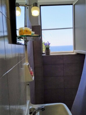 A modern bathroom with a large window, a potted plant, and a shelf with toiletries.