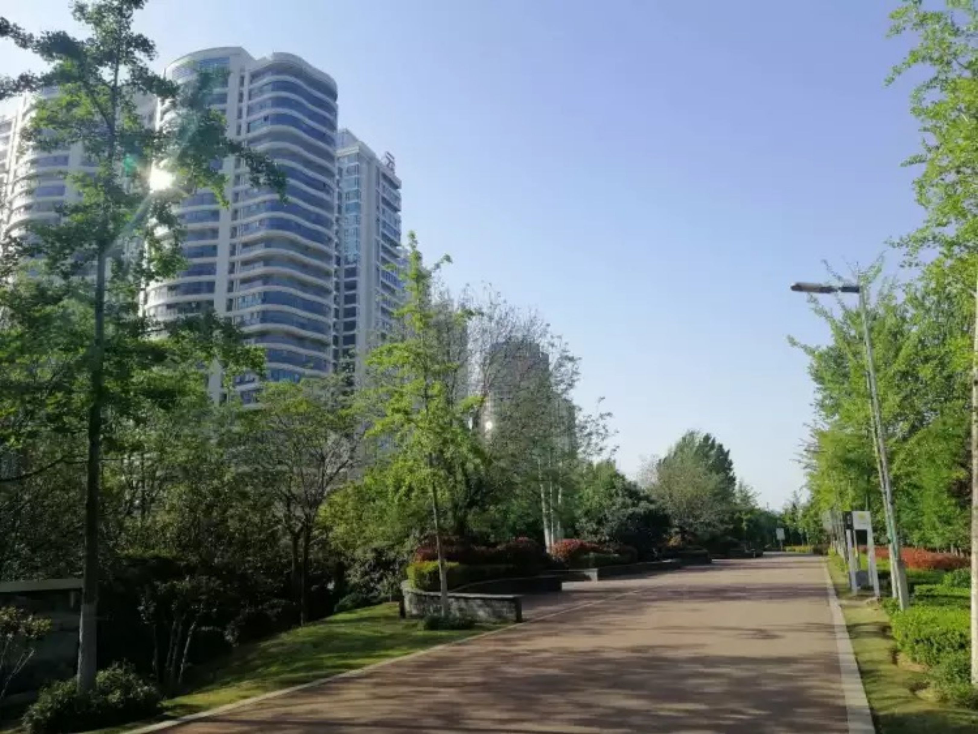 A pathway flanked by trees and a tall building.