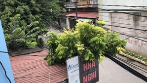 A signboard with text, a red-roofed structure, and a tree. - Van Anh Motel (Hai Phong)