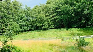A grassy field with a wooden fence and dense trees in the background.
