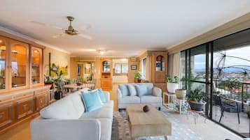 TV, DVD player, books, music library