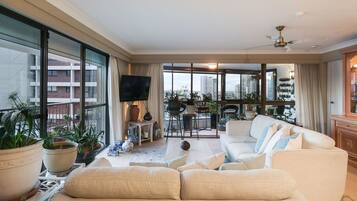 TV, DVD player, books, music library