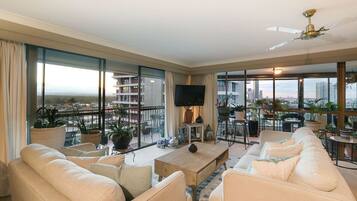 電視、DVD 播放機、書籍、音樂庫