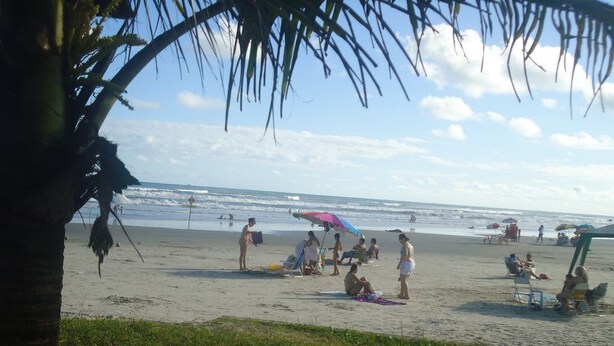 A beach with people sunbathing and swimming, umbrellas, and a palm tree.