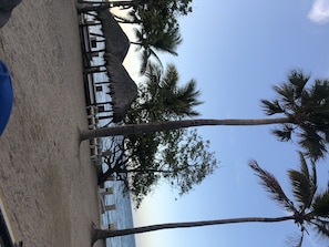 Relax on the beach with a clear view of the sea, surrounded by palm trees and a thatched structure.