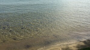 On peut clairement voir une plage avec une eau peu profonde et un rivage sablonneux.