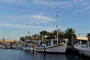 A marina with several boats docked, including a white boat named 'Tarpon Springs' with a flag. - Cozy cottage.New Port Richey.Private Heated Pool-solar panels. (NEW PORT RICHEY)