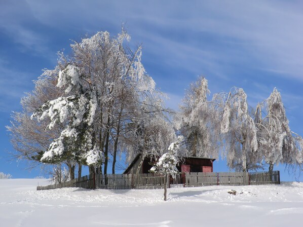 Sci e sport sulla neve