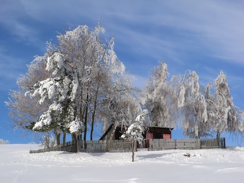 Hotel Zum Schneekopf