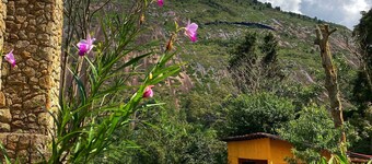 Araras, peace and tranquility