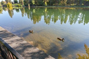 House, 2 Bedrooms | Miscellaneous