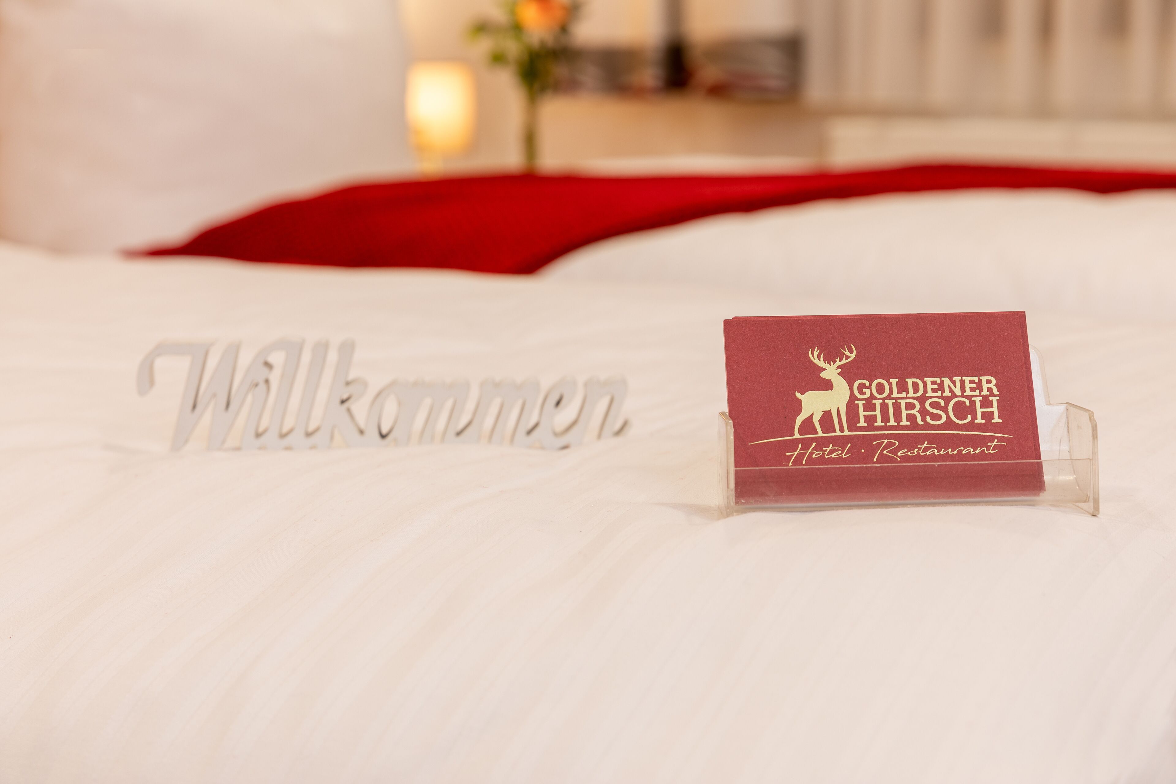 standard single room | 1 bedroom, hypo-allergenic bedding, desk, free wifi