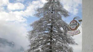 Un árbol cubierto de nieve frente a un edificio con un letrero que dice 'Hotel Zita' y 'Kaiser Beer'.