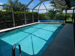Una piscina azul cristalina con cerramiento de vidrio, rodeada de exuberante vegetación y palmeras.