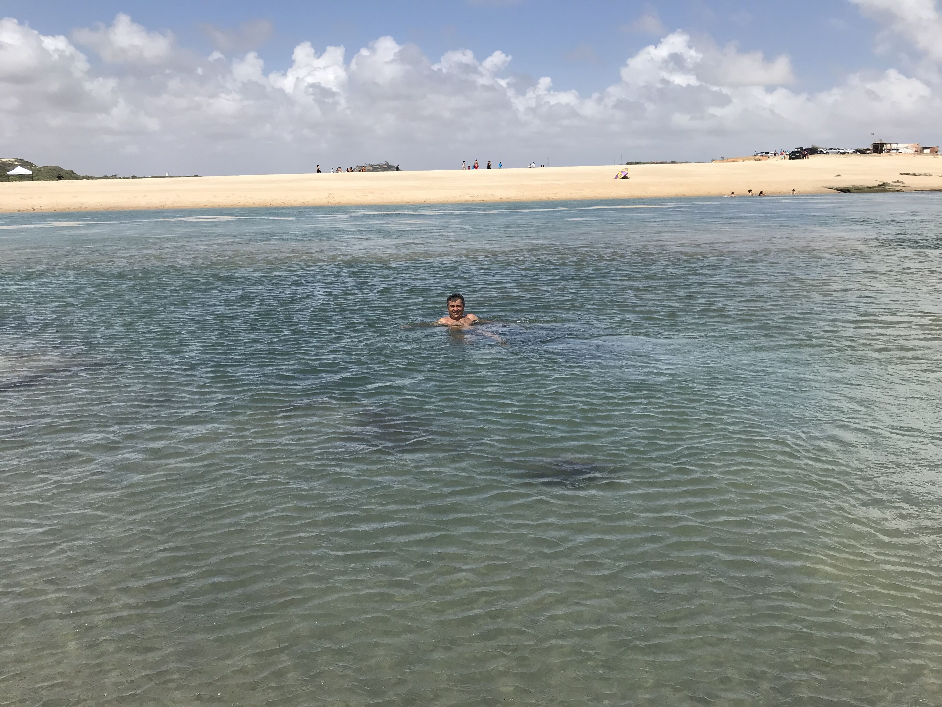 A beach scene with clear water and a person swimming.