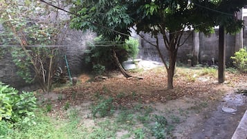 Área da propriedade
