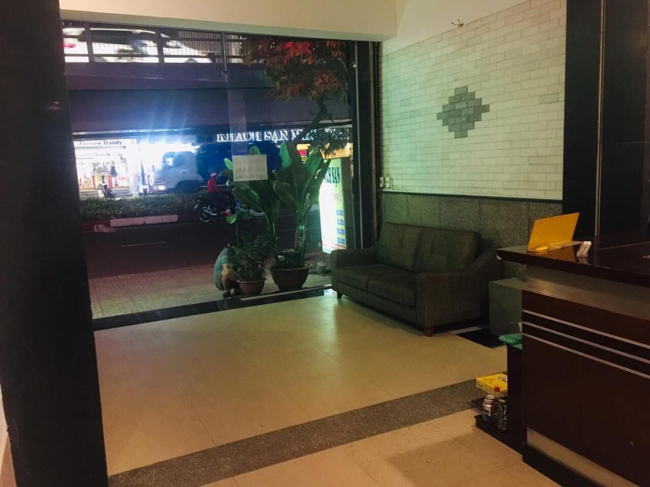 Un hall d’entrée avec un comptoir de réception, un canapé et des plantes en pot.