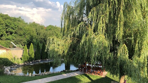 A serene outdoor area with a pond, a weeping willow tree, a fire pit, and a picnic table.