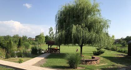 Battonya house - near Arad and border Turnu
