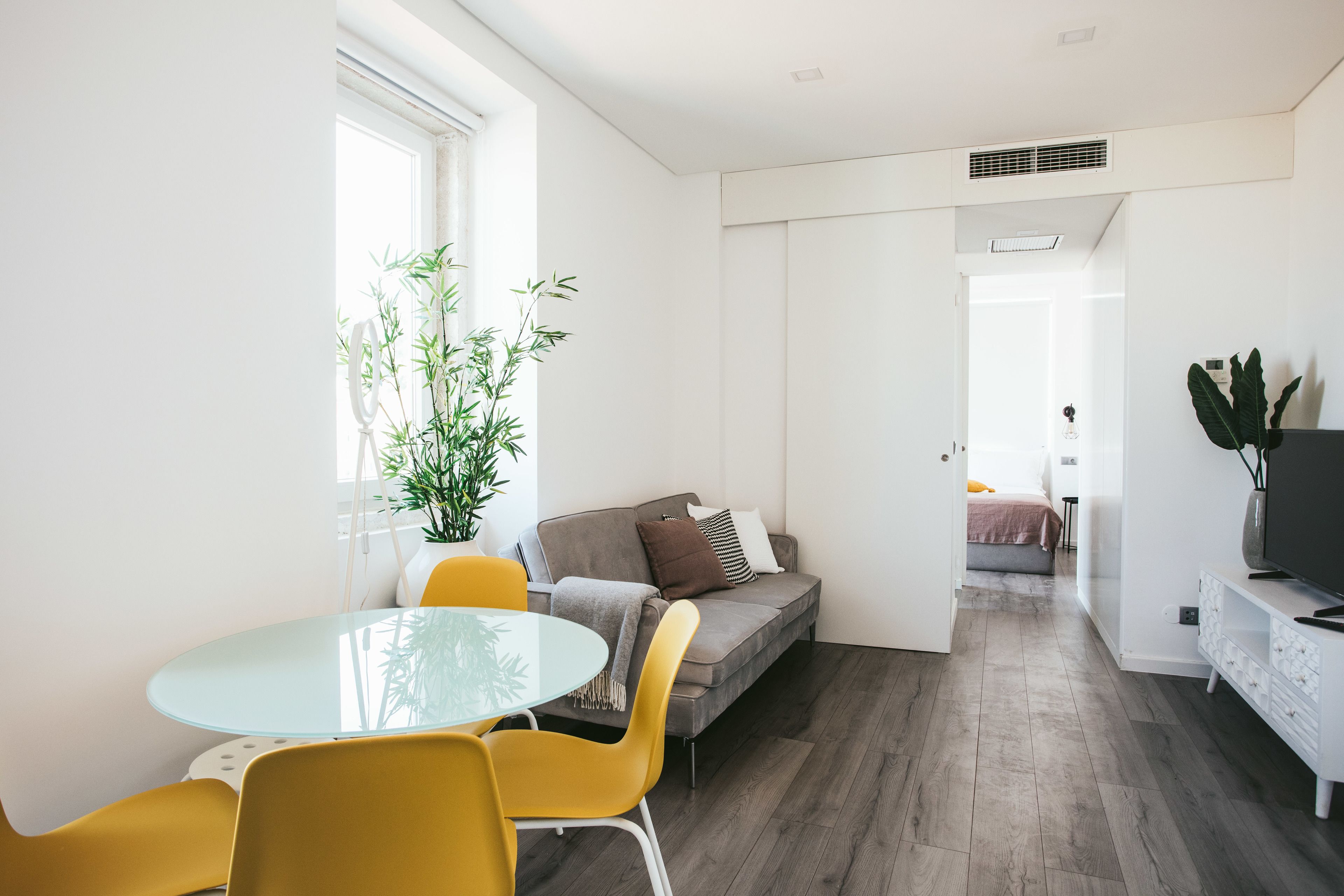 A modern living room with a glass dining table, yellow chairs, a grey sofa with cushions, and a large potted plant.