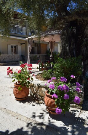 Exterior - Villa Miranda (Zakynthos)