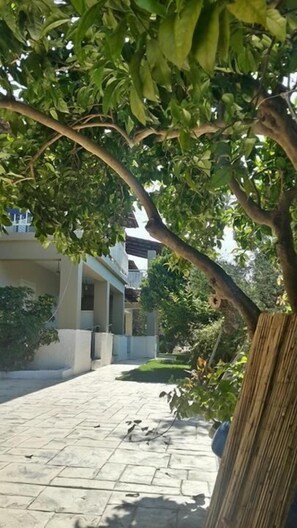 Property grounds - Villa Miranda (Zakynthos)