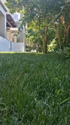 Property grounds - Villa Miranda (Zakynthos)