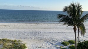 A beach with a palm tree and sparse vegetation.