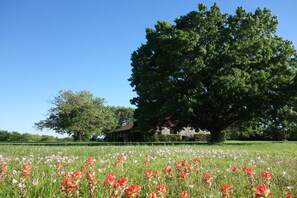 Terrein van de accommodatie