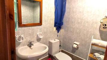 A bathroom with a sink, toilet, and a mirror.
