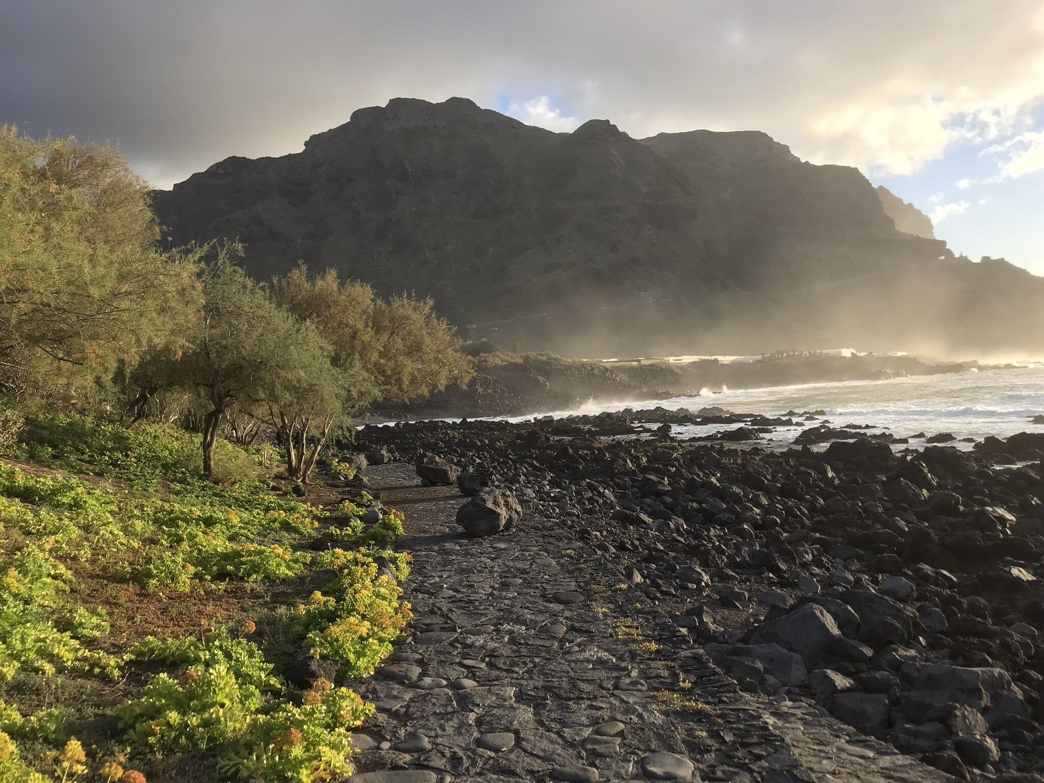 A rocky coastal path with vegetation and a mountain in the background.