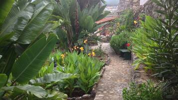 Terrein van de accommodatie