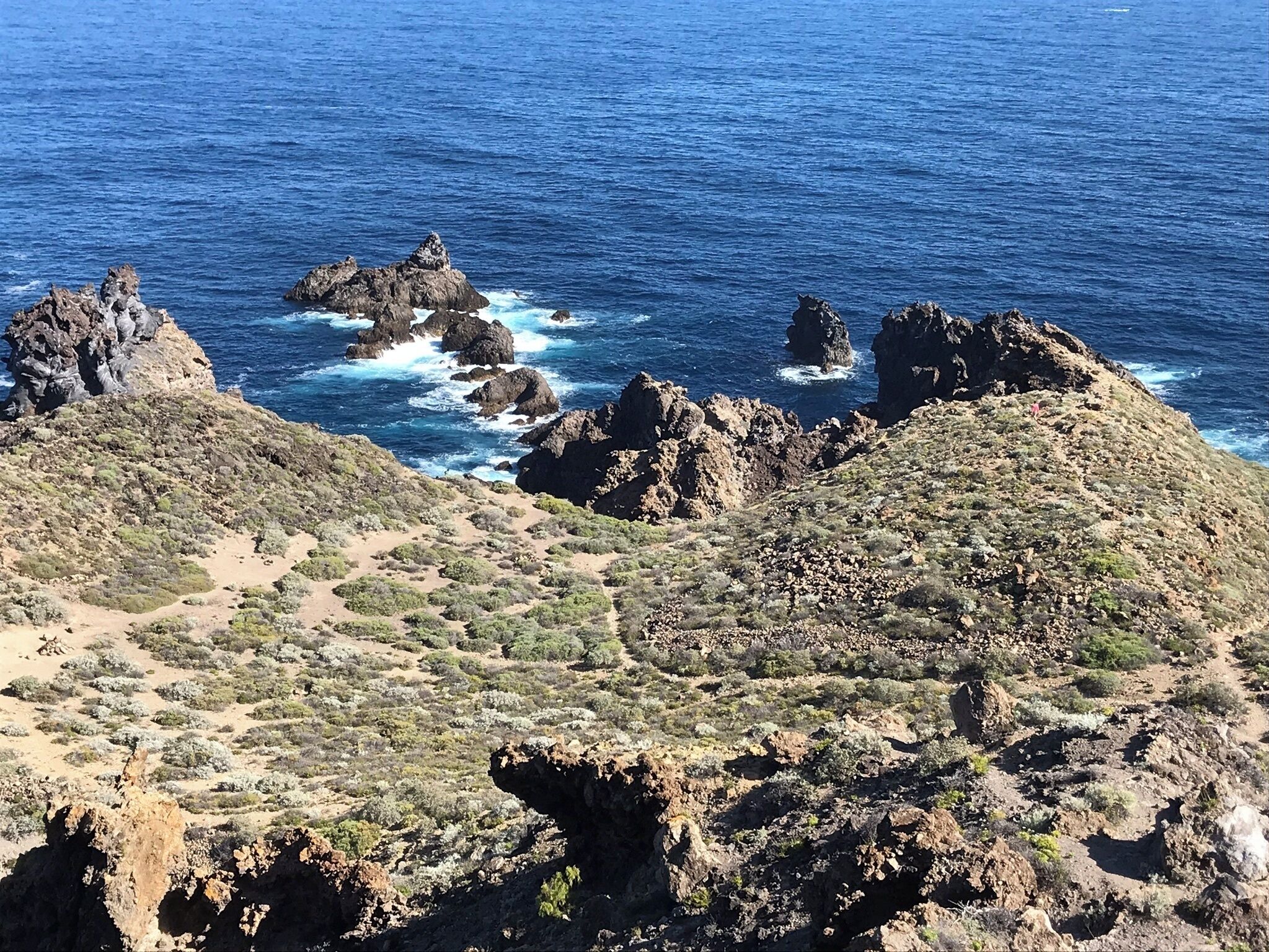 A rugged coastal landscape with rocky outcrops and sparse vegetation.