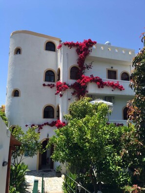 Superior studio | Een kluis op de kamer, individueel gedecoreerd, individueel gemeubileerd