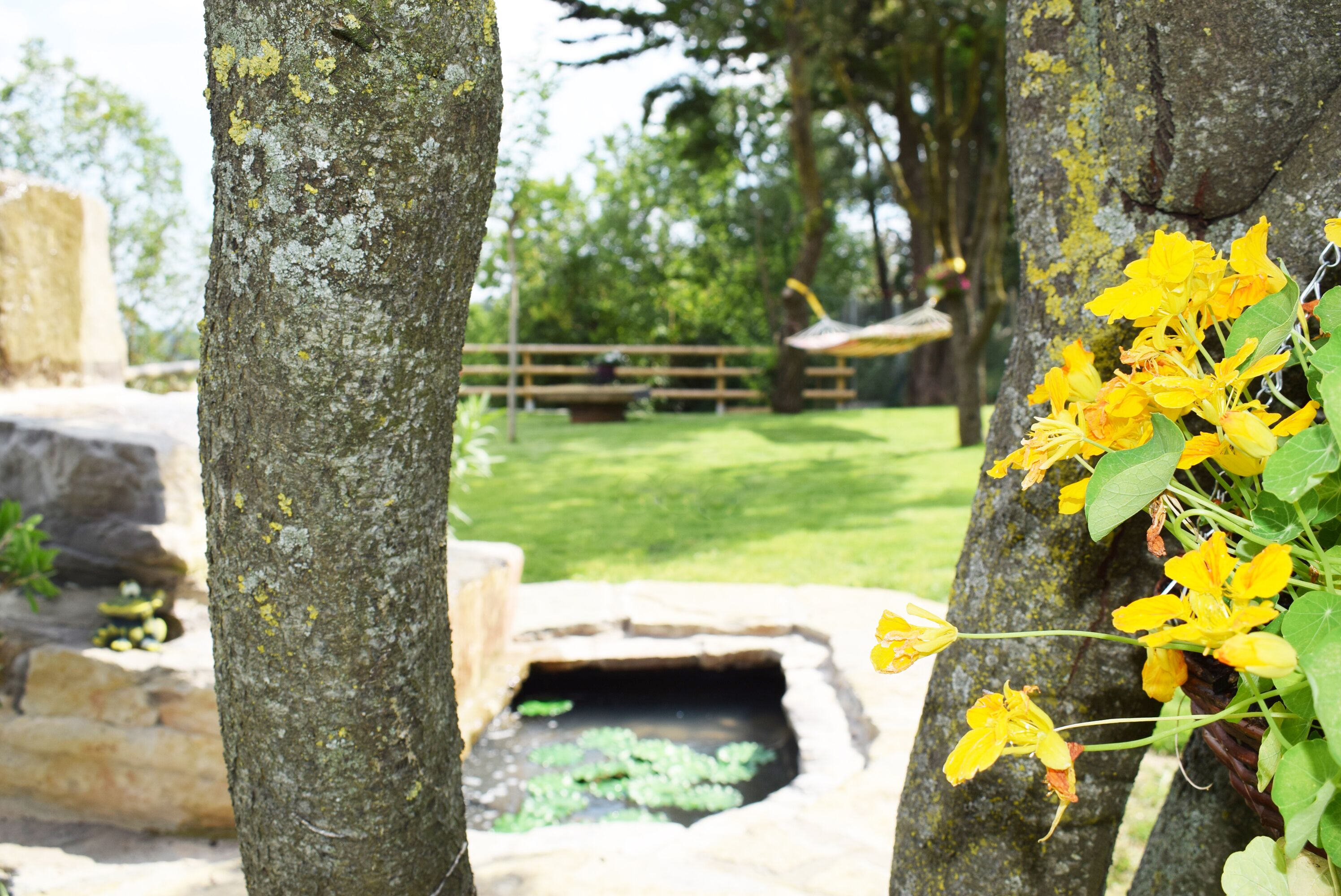 Jardines del alojamiento