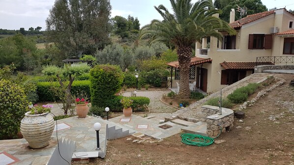 Property grounds - Palm Tree summer house (Porto Cheli)