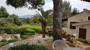 Terrace/patio - Palm Tree summer house (Porto Cheli)