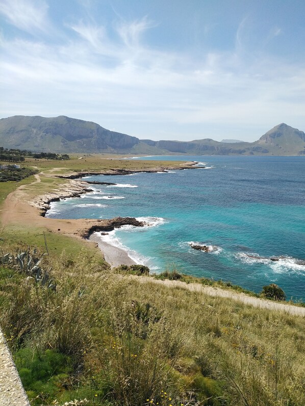 Plage, chaises longues