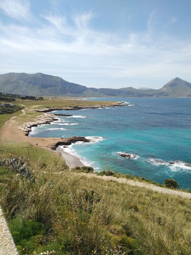 the blue strawberry tree apartment