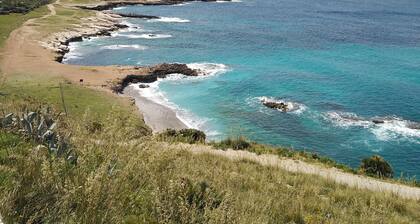 the blue strawberry tree apartment