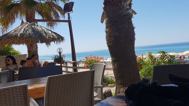 A beachside restaurant with outdoor seating, palm trees, and a view of the ocean.
