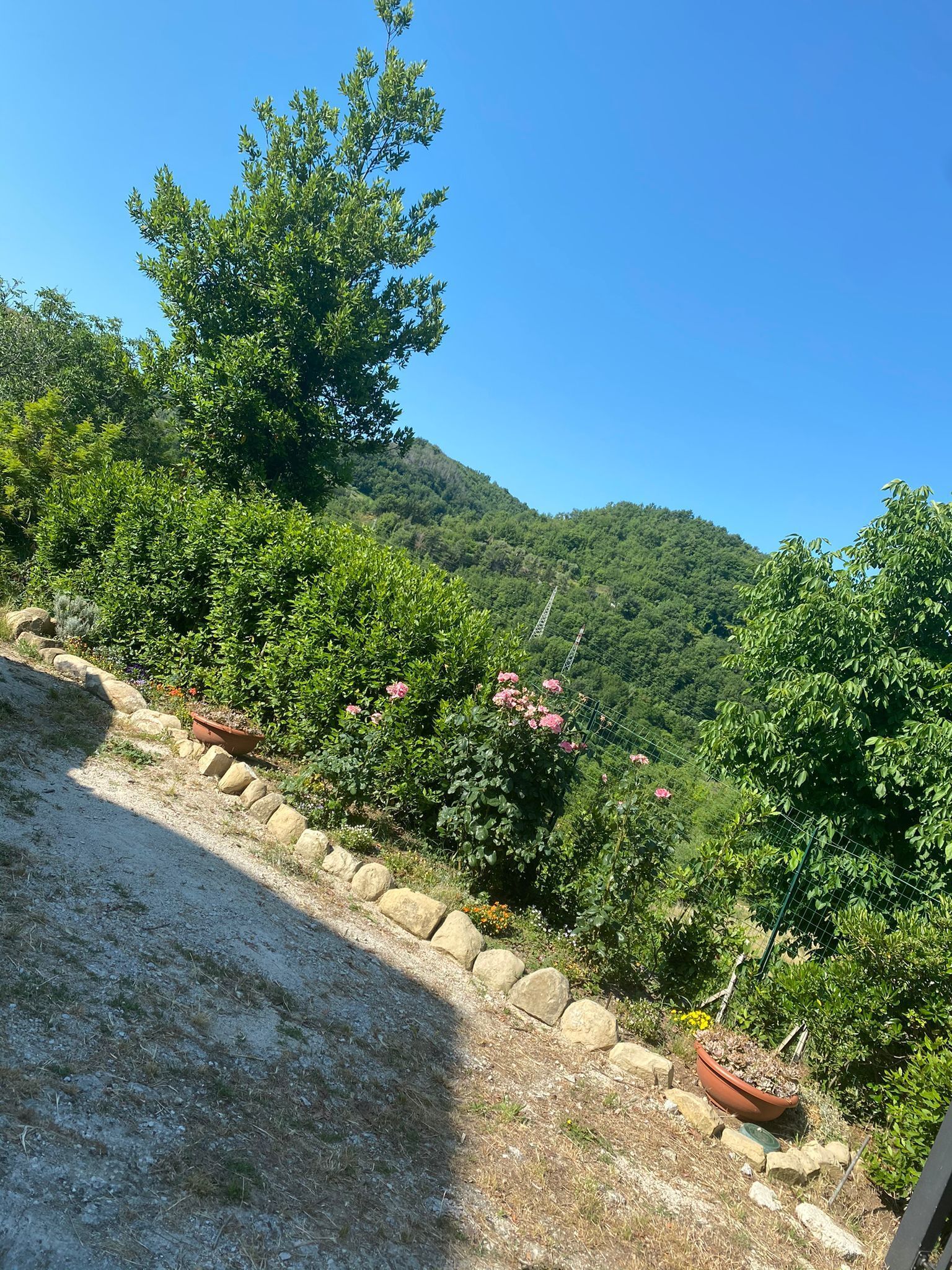 Un jardín con un camino de piedra, plantas en macetas y vistas a una colina boscosa.