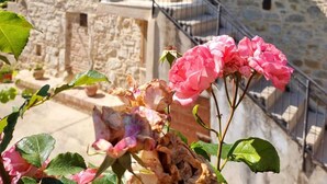 A stone building with a balcony and a door. - Vacation House The Laurels (Venarotta)