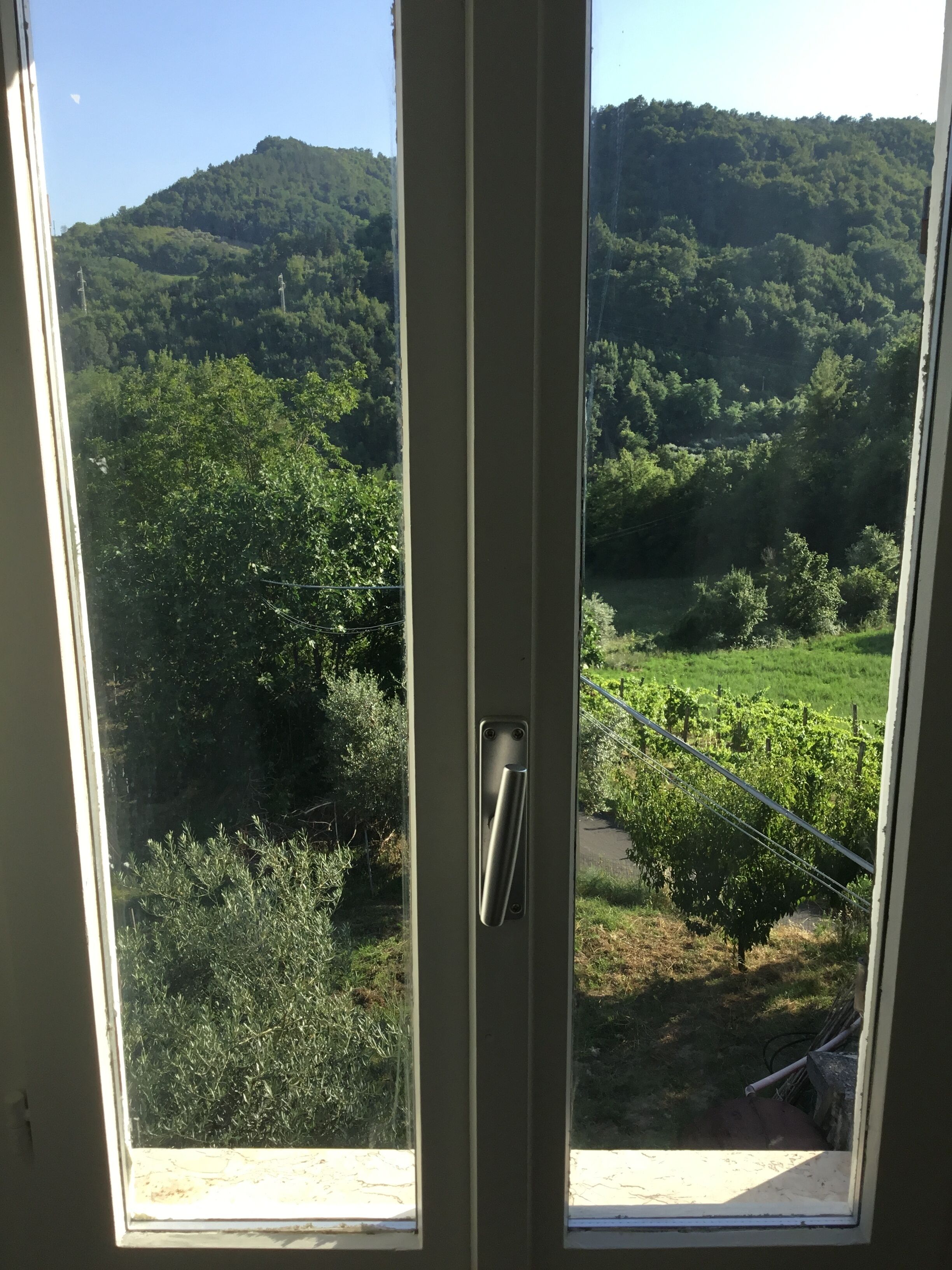 A view through a window with a door handle, overlooking a lush green landscape with trees and a hill in the distance.