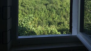 A window with a view of a forested hillside. - Vacation House The Laurels (Venarotta)